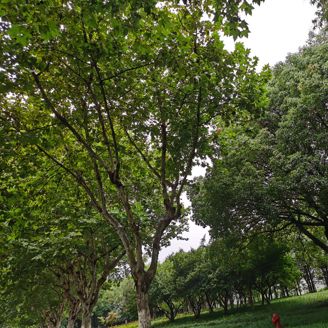 。。。想好再说