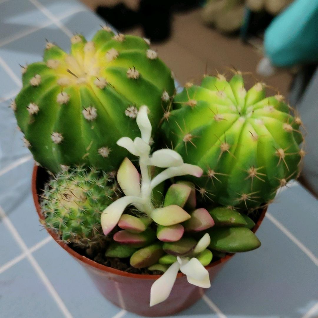 ℳঞ余生🍒随心꧔ꦿ້໌ᮨ࿐