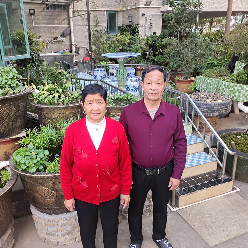 艾华光春华秋实