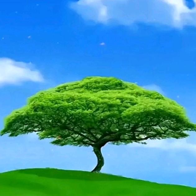 暖暖的光☀️