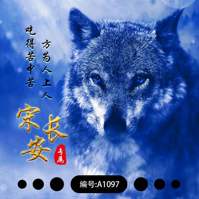 ～天狼🐺～