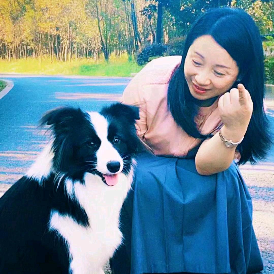 安吉简墅民宿
