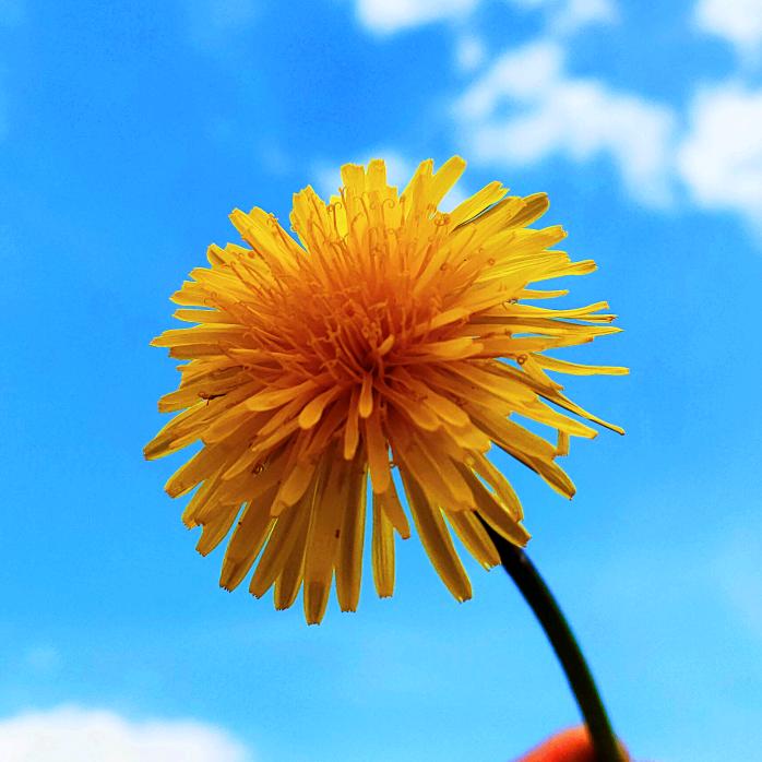 德子爱唱歌🎼⁰³³⁰