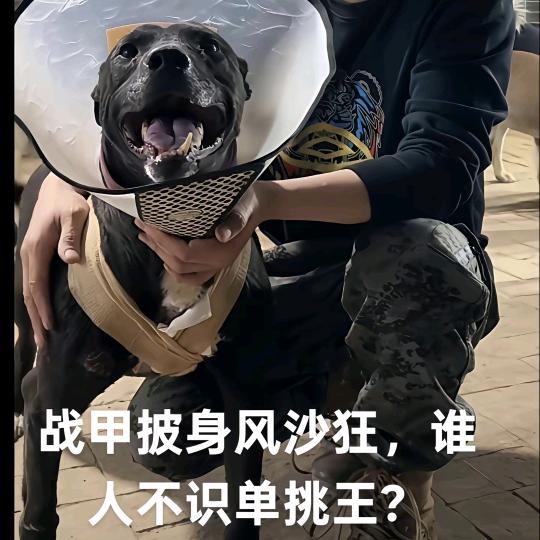 &君陌&（西北-单挑王）