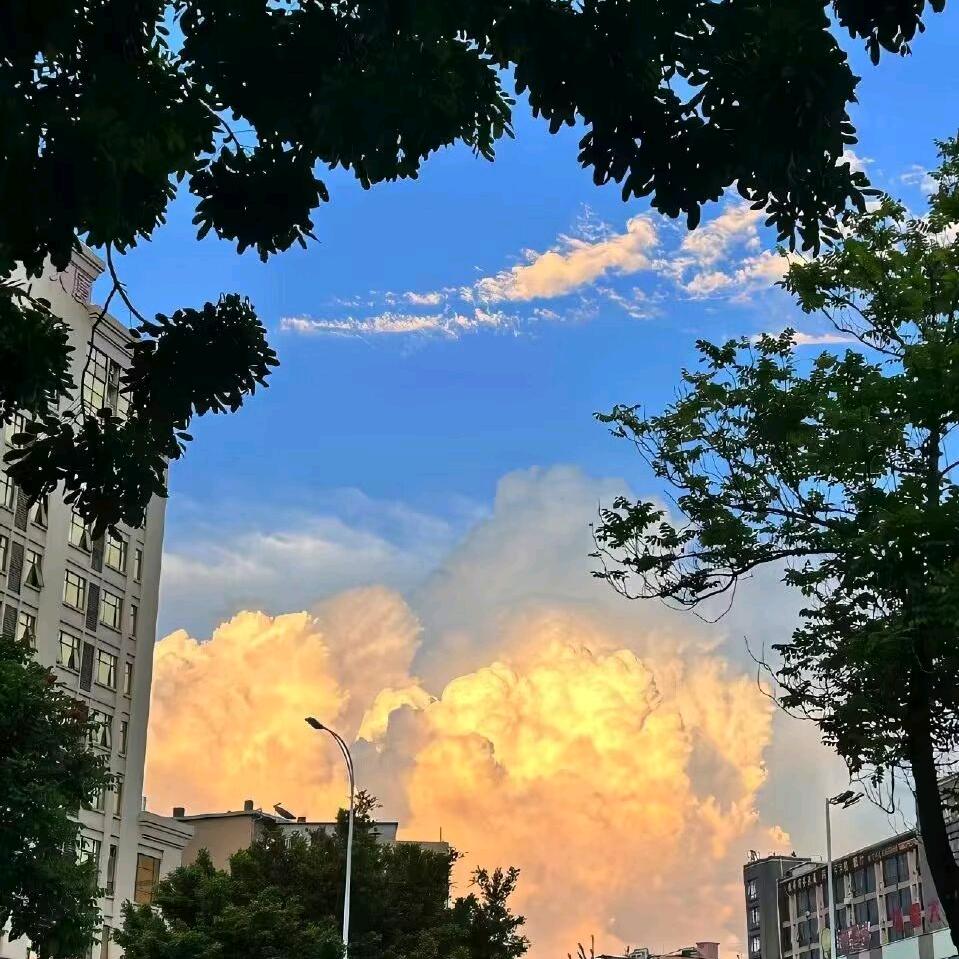 成-🍃