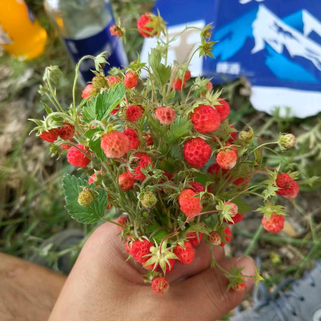 爱已关机
