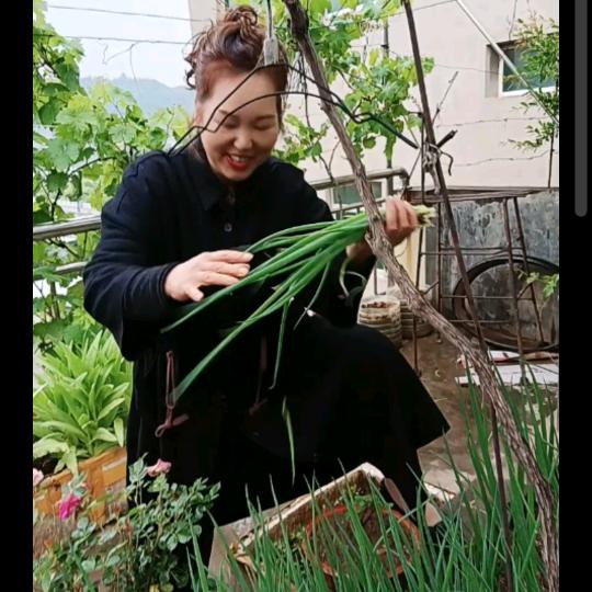 唐姐田地