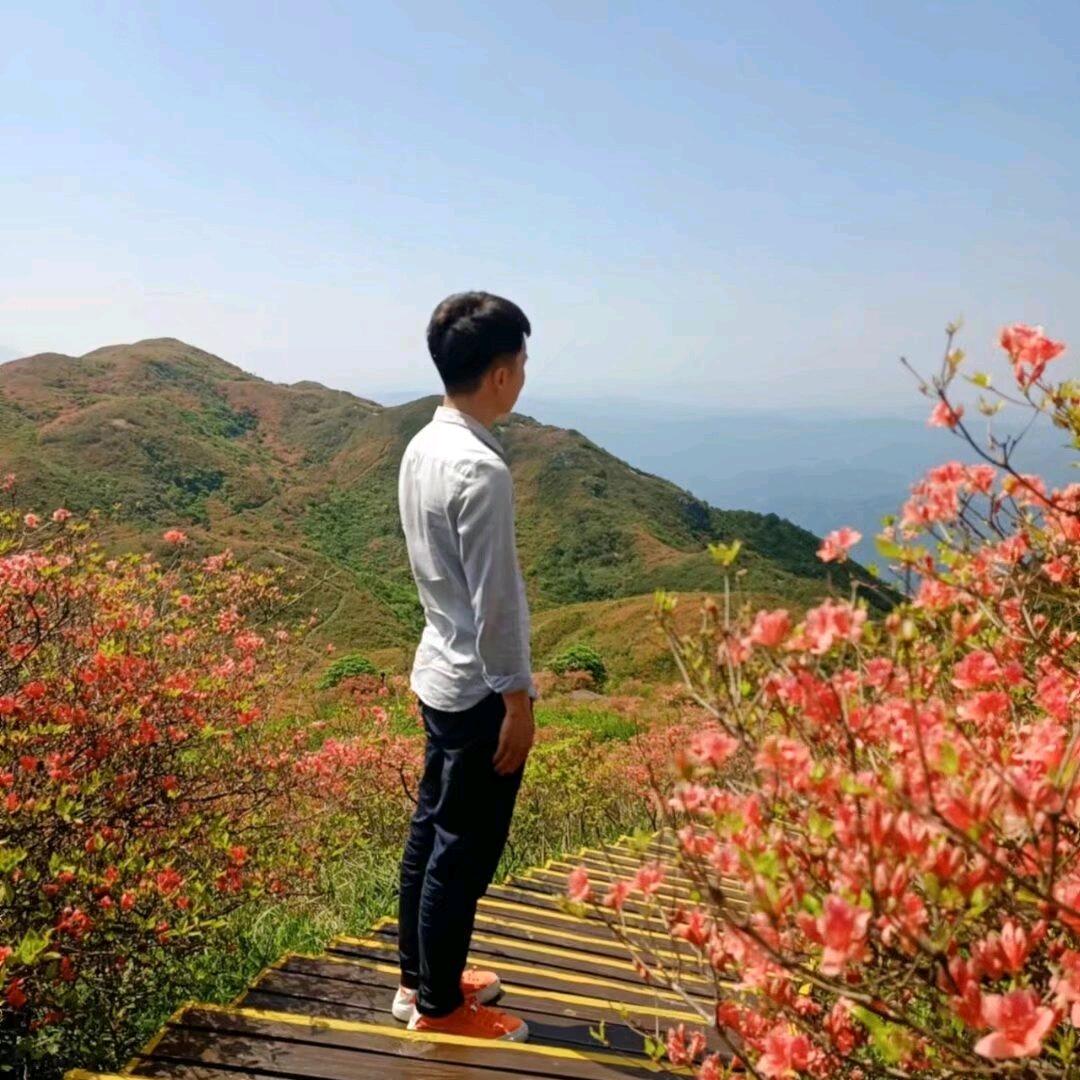 岁月如刘