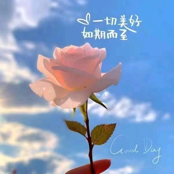 繁花似锦🌸💐✨