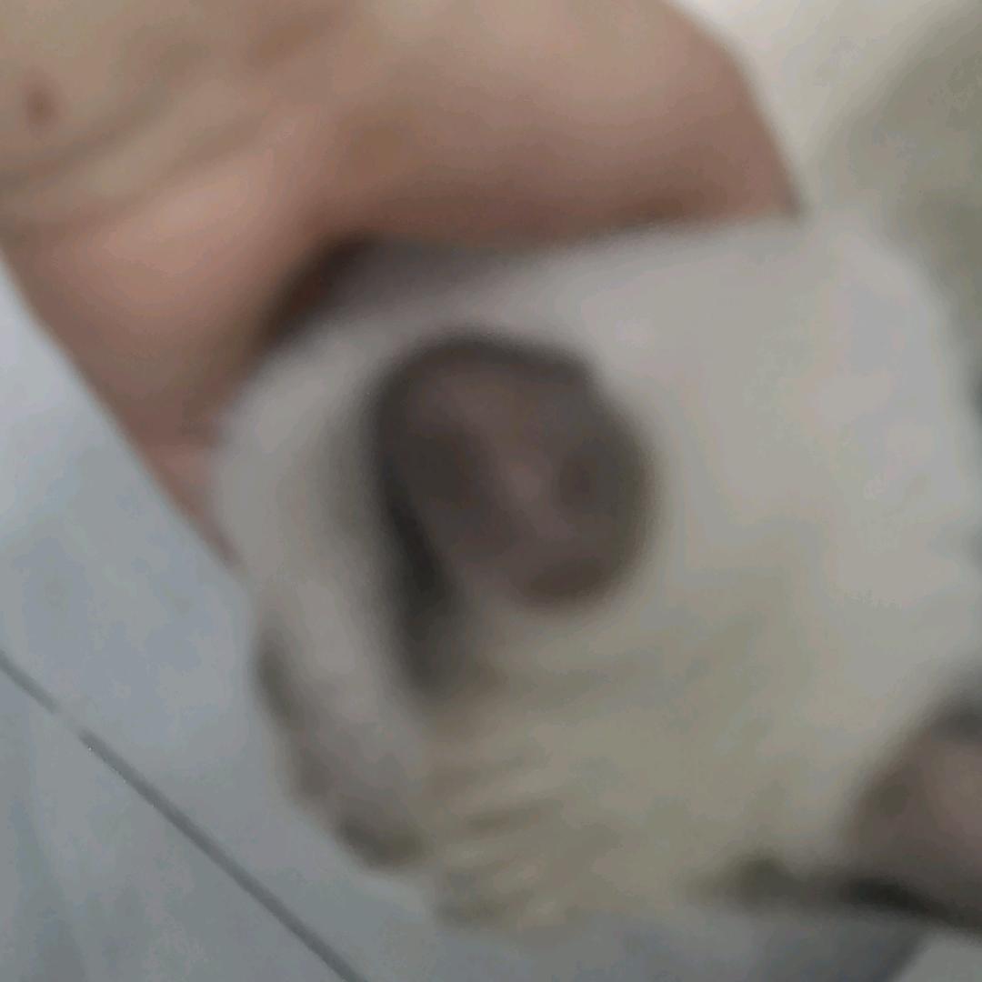 一一日记