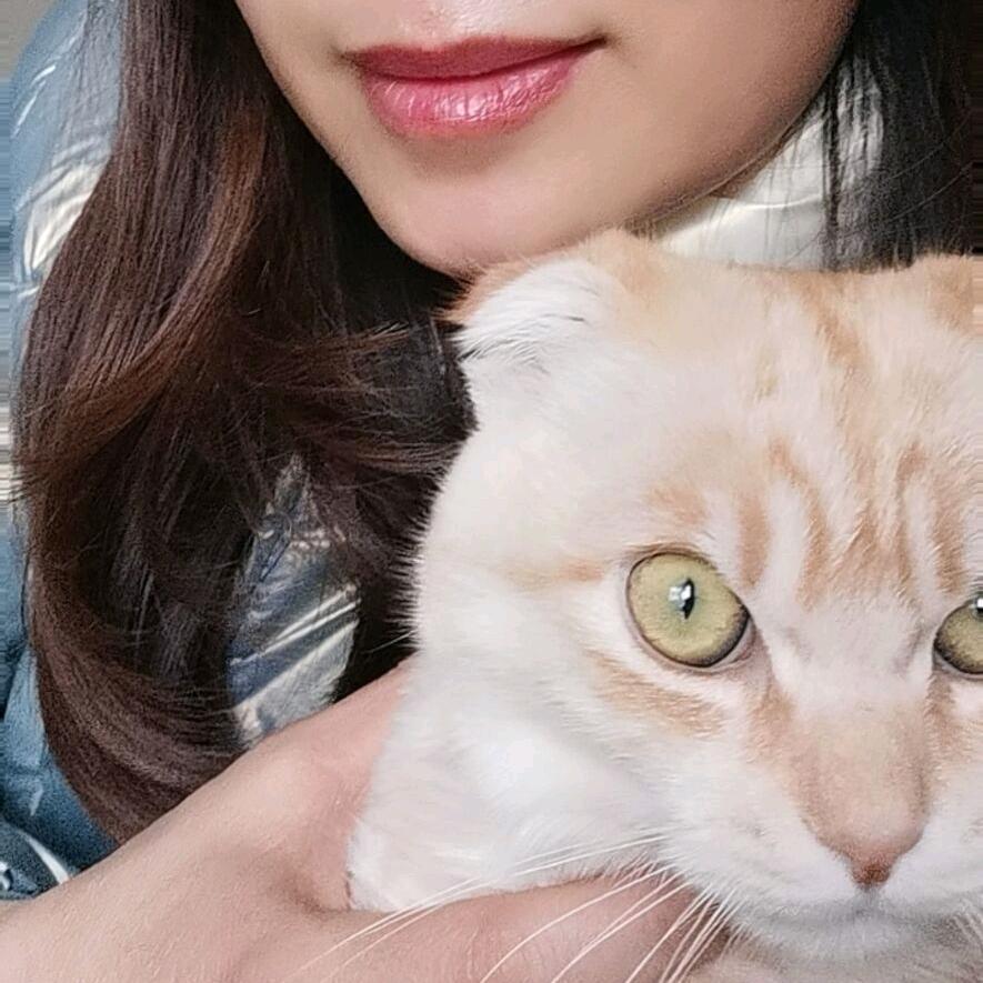 鹿姐