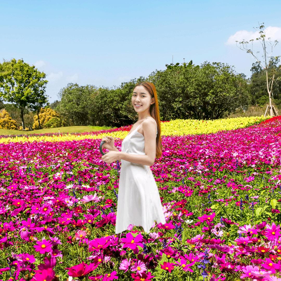 我是一个温柔善良的女孩