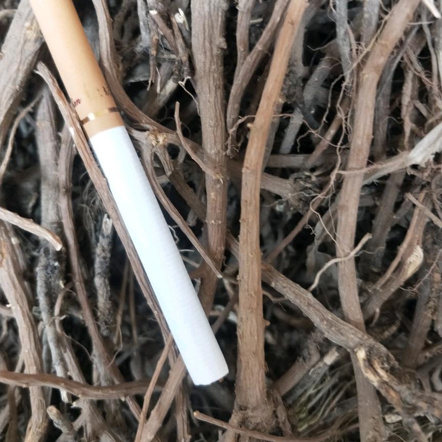 后稷药材