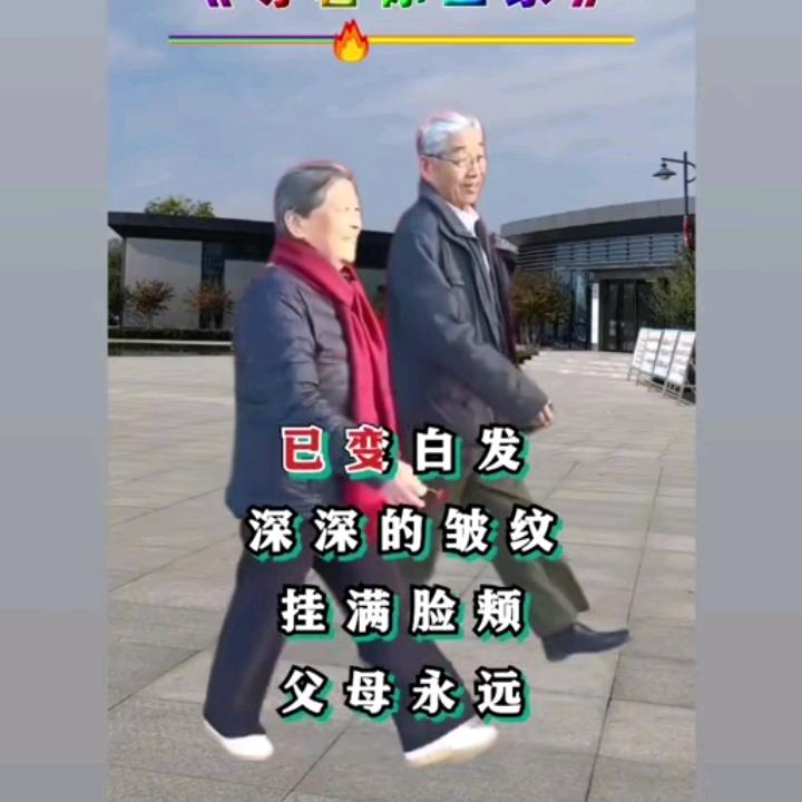 竹叶青青
