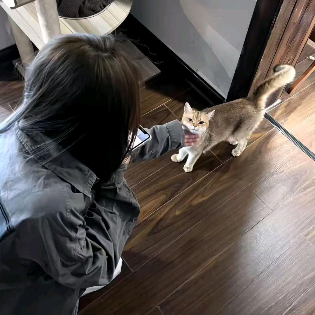 婻鸢璃梦