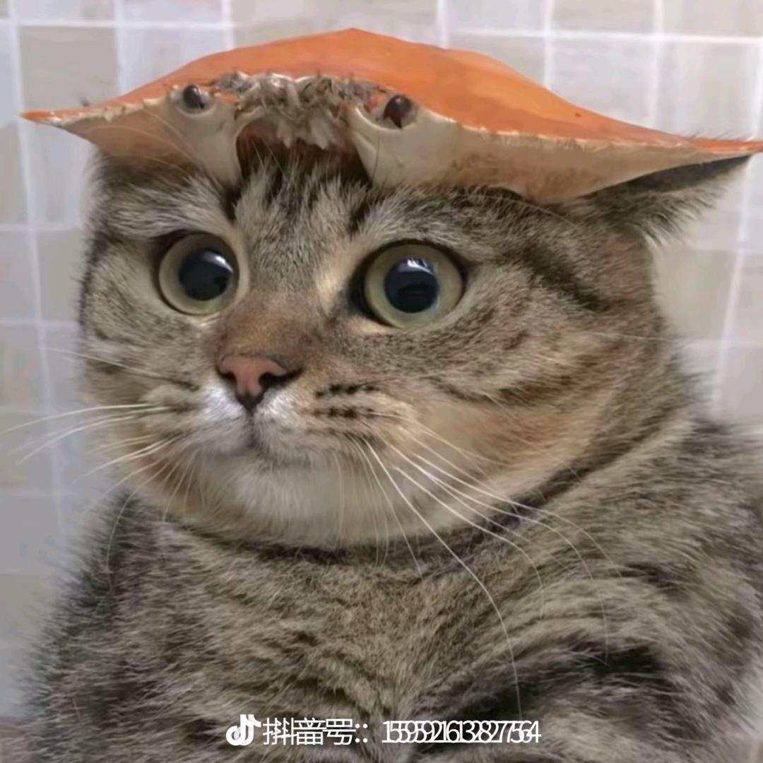 A一股民