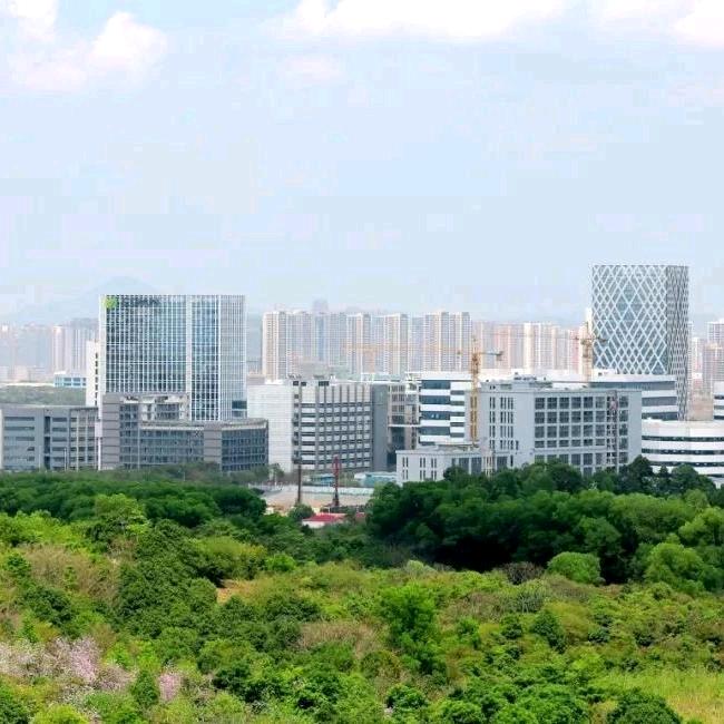 坪头哥，