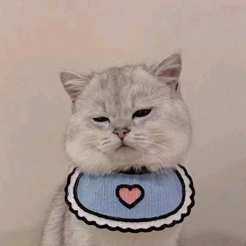 柠檬