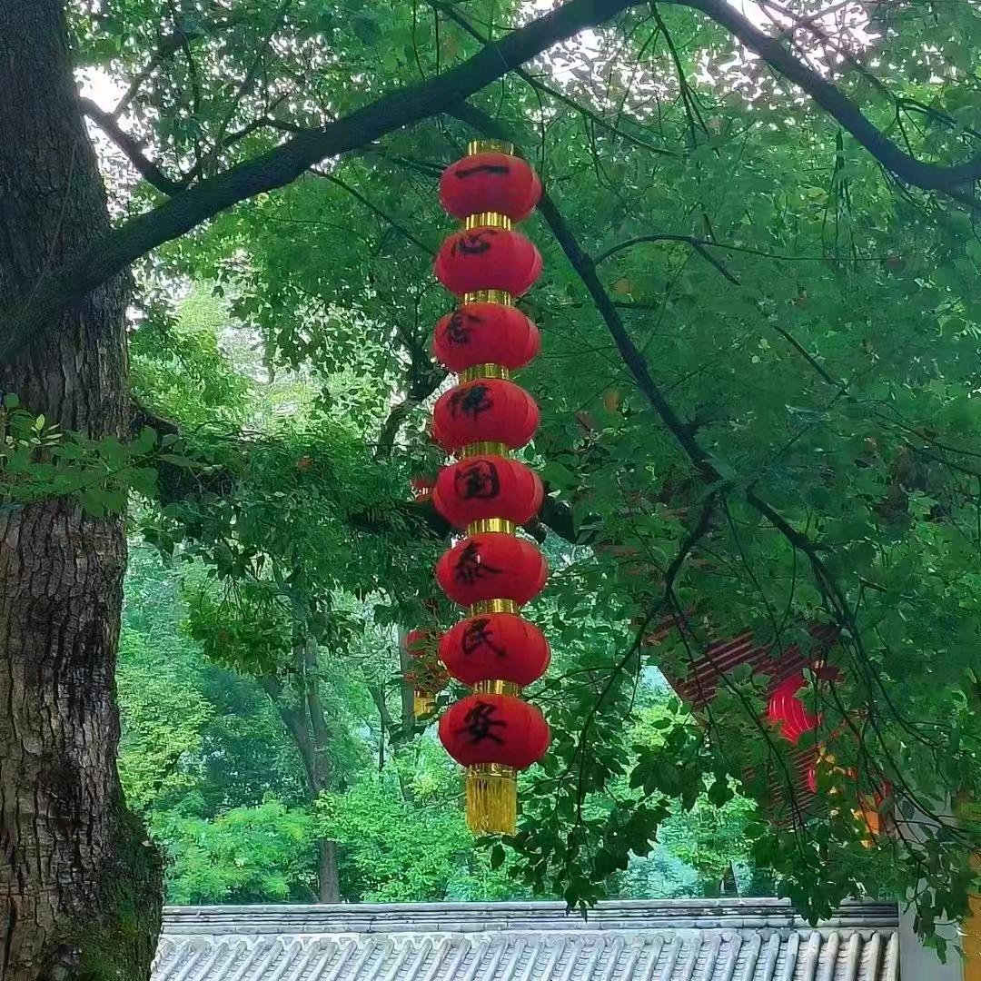 山曜老师