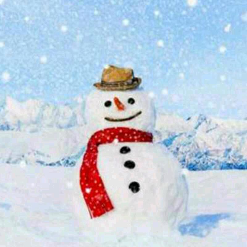 杨。快乐雪人
