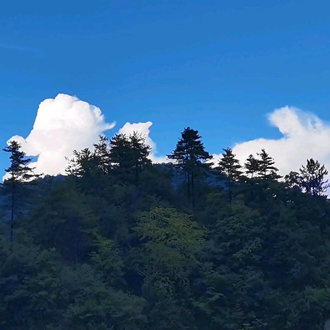 🍃七安