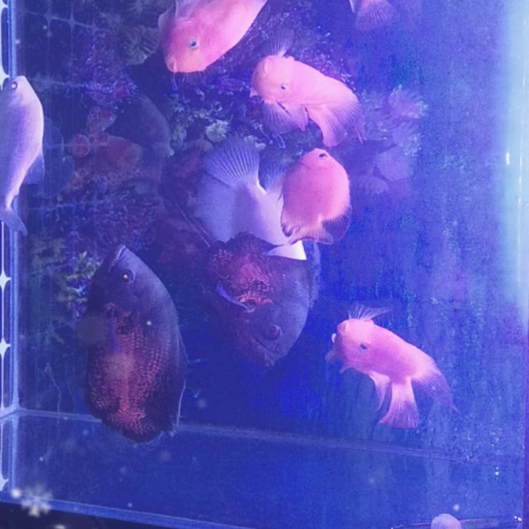 ξηа起煙戒ろ愛