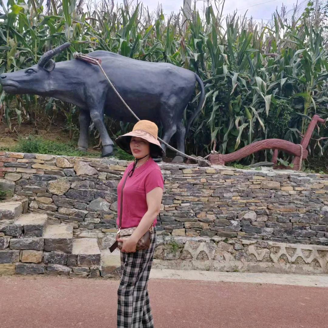 巴东西一路中百仓储斜对面戈芭藜