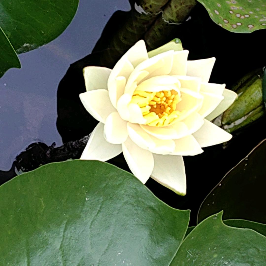 向阳而生i