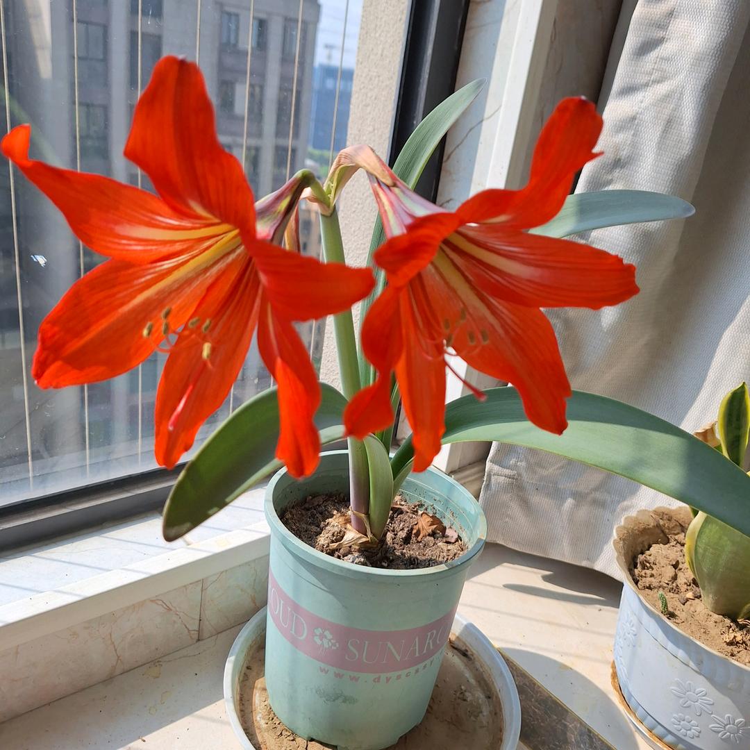 🦋锦上添花💝