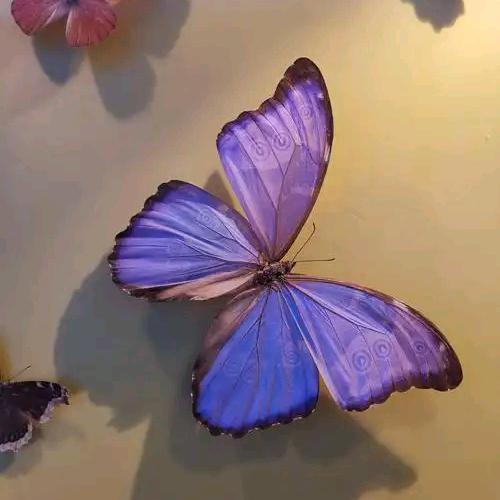 生如芥子 心藏须弥