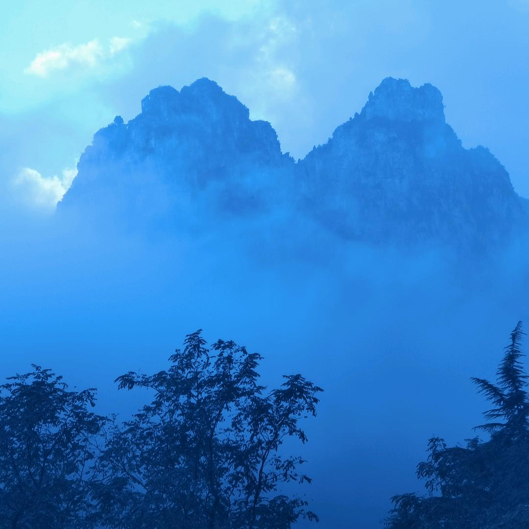 阿春拍日常
