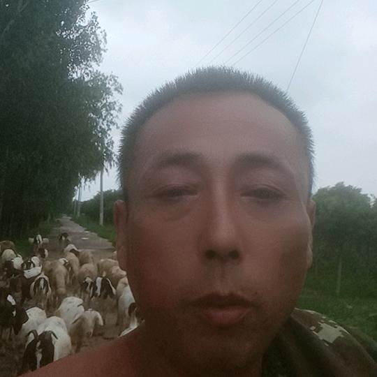 🐏连长
