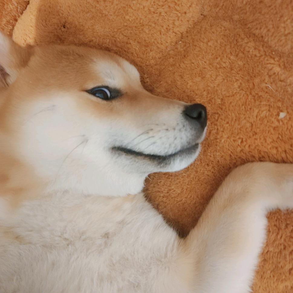 百 万