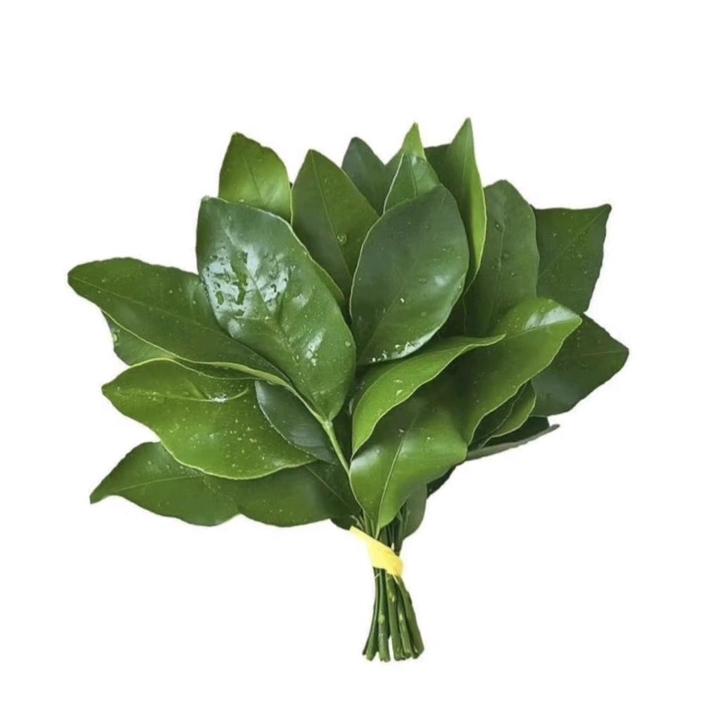 免