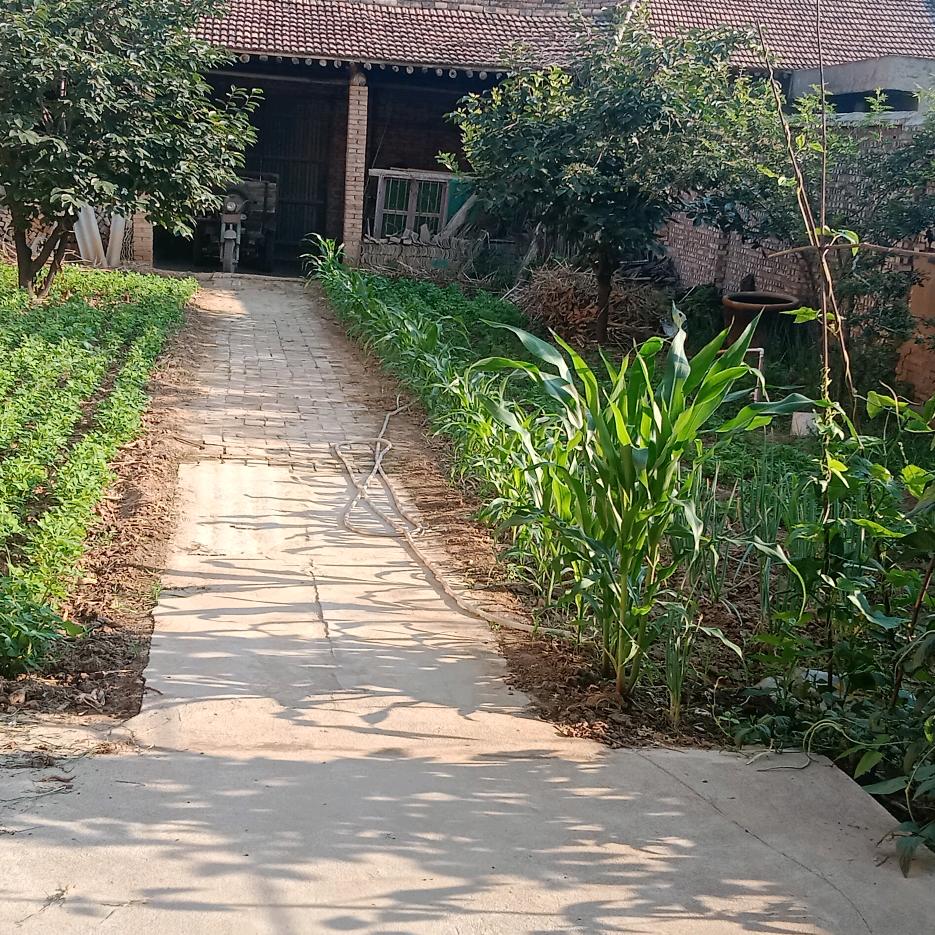 余生好好爱自已