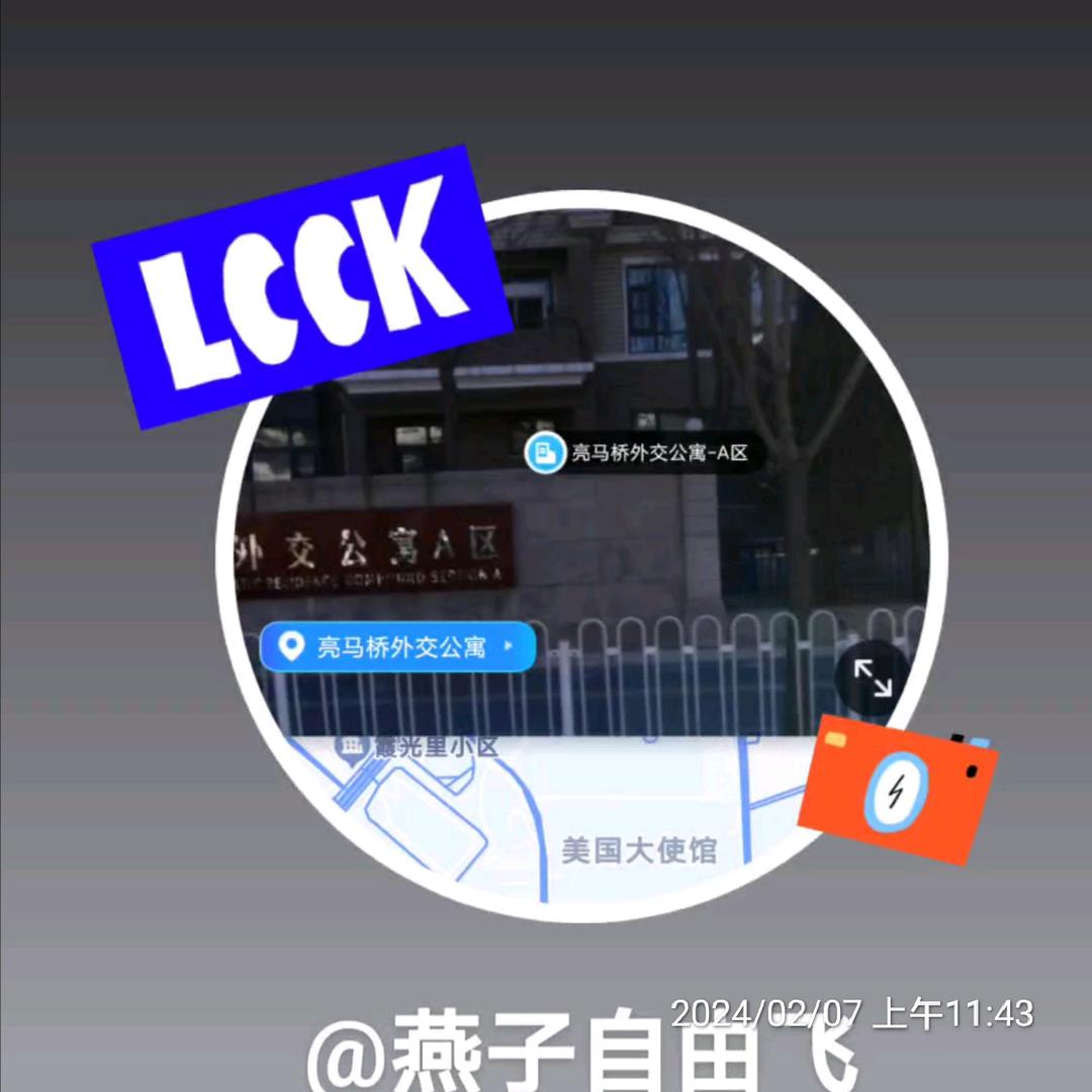 燕子自由飞（C）