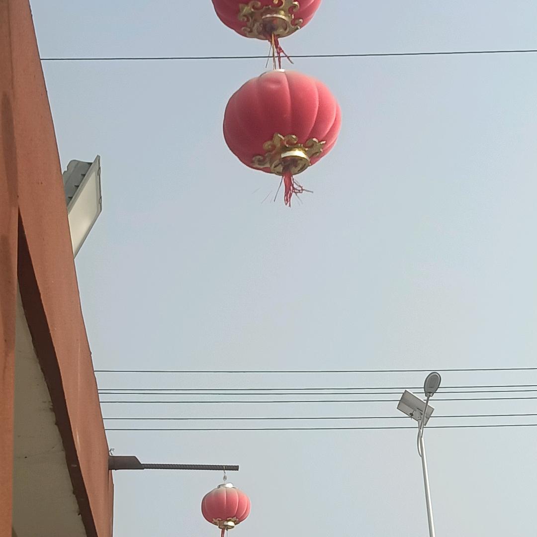 纵市里