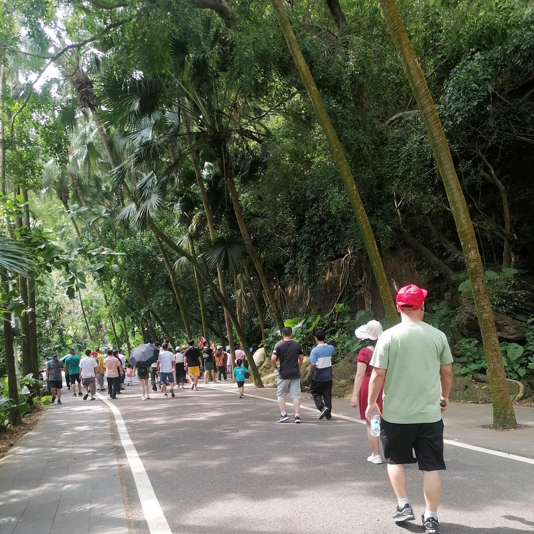 李李相伴，李李相让