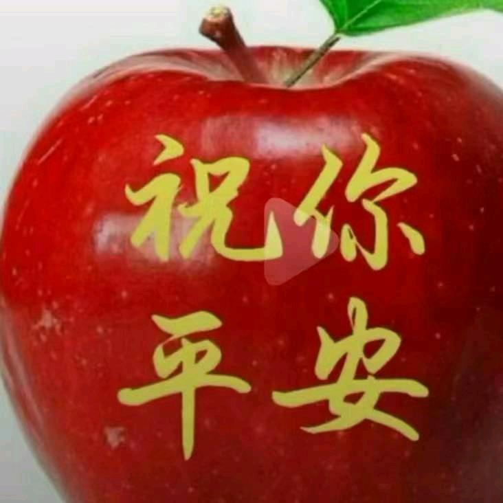老中青理发店💈