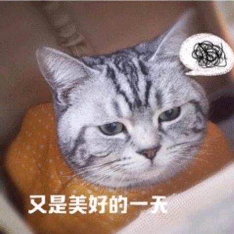 老六烧鸭😂