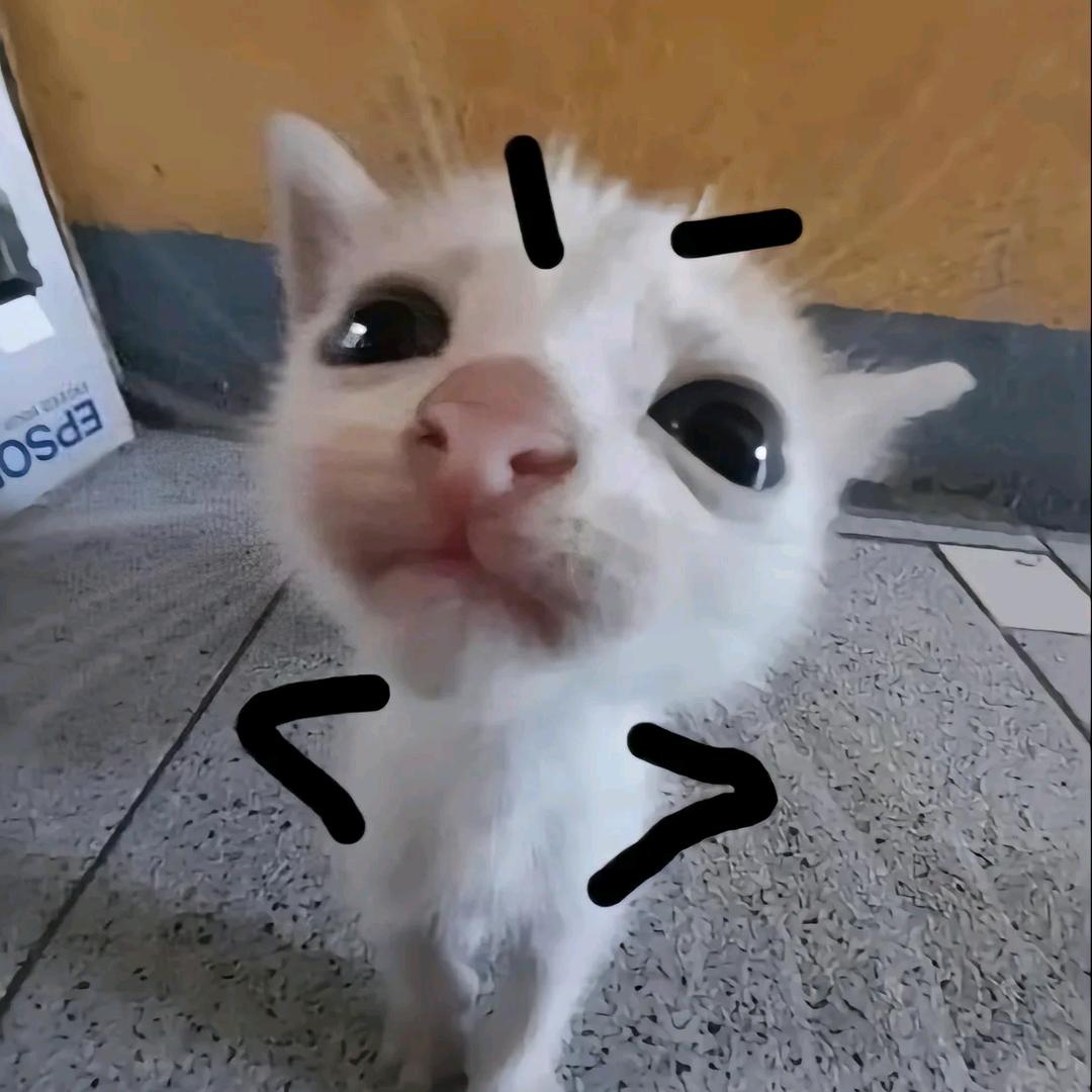 咪哞