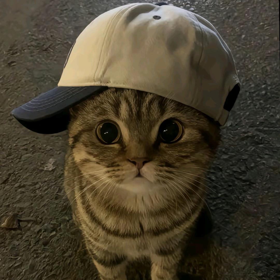 1_1