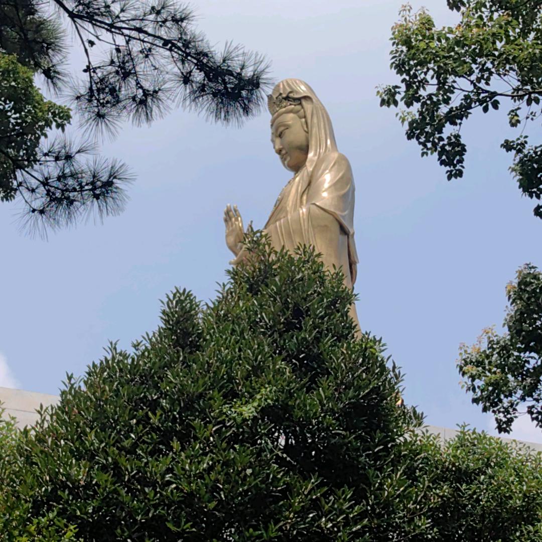 菩提禅心🙏🙏🙏