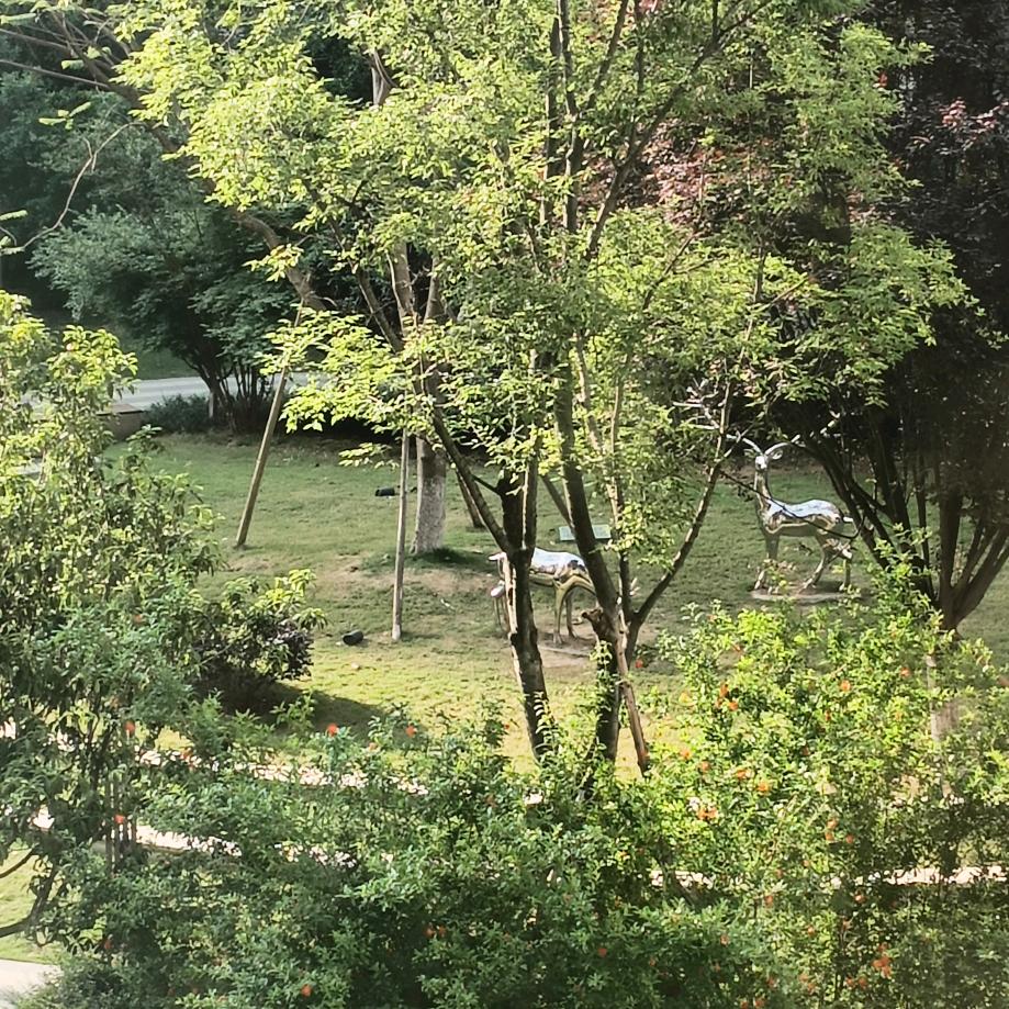 一路风景