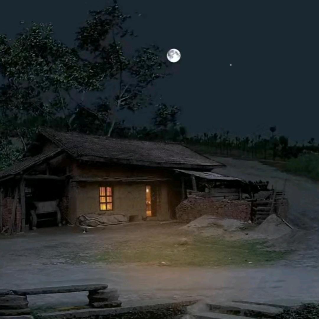 放荡不拘的人生