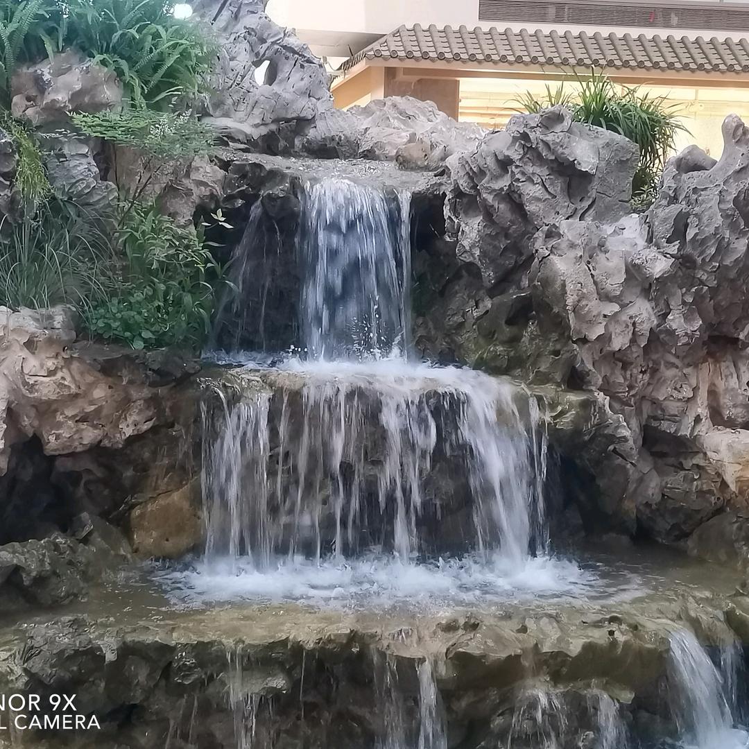 C 花开富贵