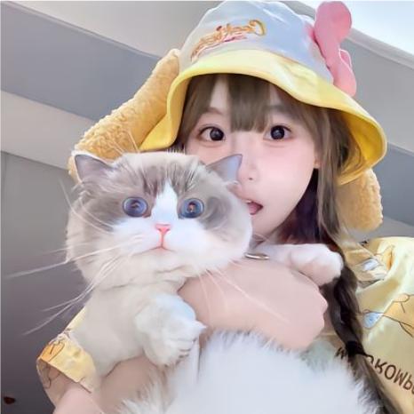 发呆呆呆魚