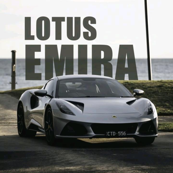 三角洲（灰猎犬小队）