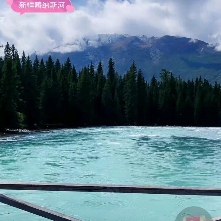 第7幸存者