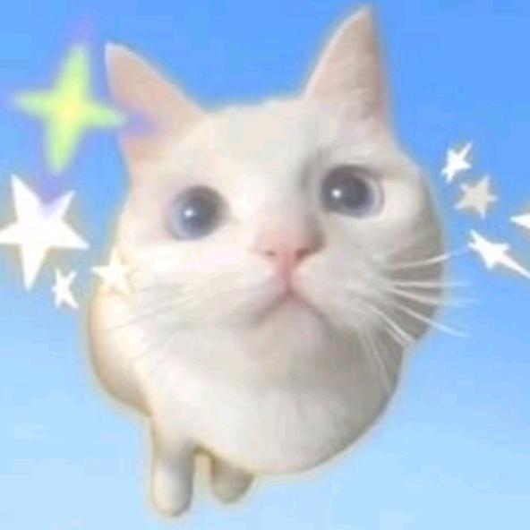 咪猫喵喵咪